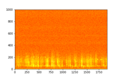 Tadarida brasiliensis