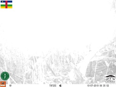 Centropus leucogaster neumanni