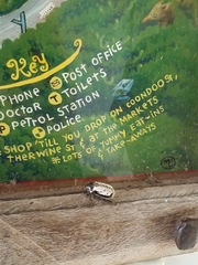 Dermolepida albohirtum