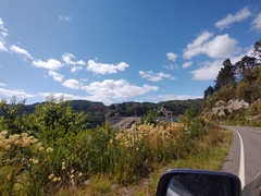 Miscanthus nepalensis