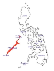 Palawan Tit photo 4