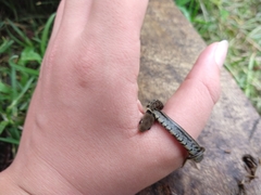 Erythrolamprus epinephalus fraseri