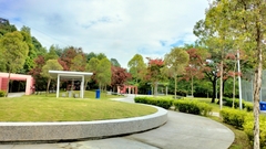Lagerstroemia langkawiensis