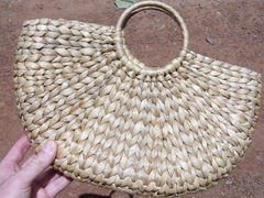 Pontederia crassipes