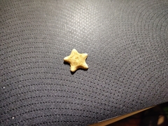 Asterina
