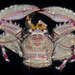 Red Porcelain Crab - Photo (c) smithsonian_marinegeo, some rights reserved (CC BY-NC-SA), uploaded by smithsonian_marinegeo