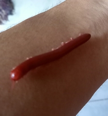 Trigoniulus corallinus