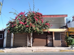 Bougainvillea