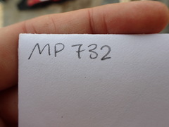 Distichium inclinatum