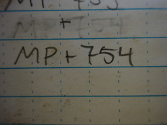 Distichium capillaceum