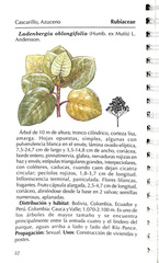 Ladenbergia oblongifolia