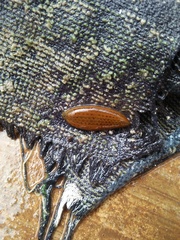Hirudinaria manillensis