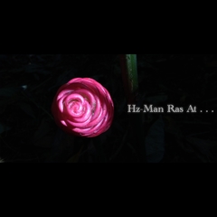 Zingiber zerumbet zerumbet