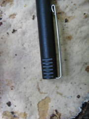 Microporellus dealbatus