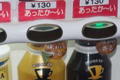 Thalassodes intaminata