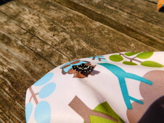 Pseudothyris sepulchralis