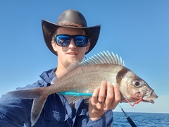 Nemadactylus macropterus