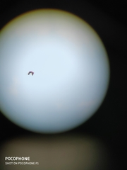 Nisaetus cirrhatus limnaeetus