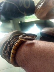 Philodryas nattereri