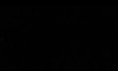 Vulpes vulpes fulvus