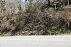 Pseudacris brachyphona