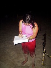 Dermochelys coriacea