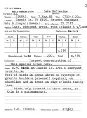 Anastomus lamelligerus