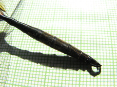 Somatochlora hineana