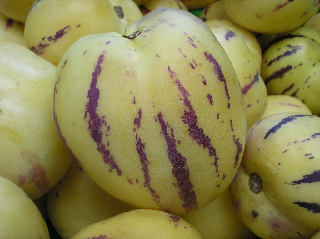 Pepino