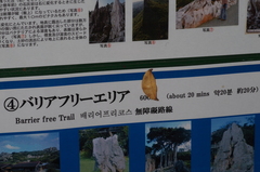 Callidrepana hirayamai