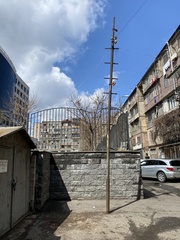 Streptopelia senegalensis