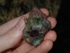 Bursa rosa
