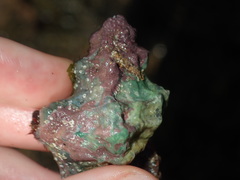 Bursa rosa
