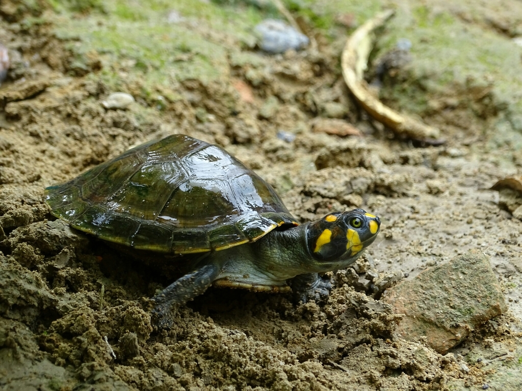 Photo by Nathalia López