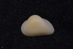 Striarca pisolina