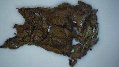 Xanthoparmelia loxodes