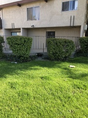 Didelphis virginiana