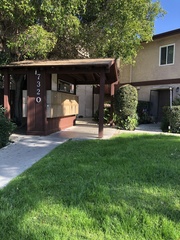 Didelphis virginiana