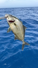Seriola