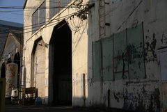 Monticola solitarius