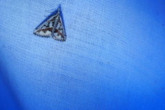 Dichromodes euprepes