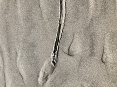 Alitta virens