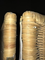 Aparallactus lunulatus