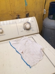 Centruroides suffusus