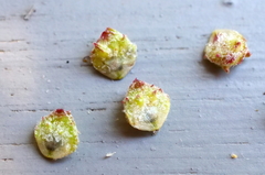 Atriplex australasica