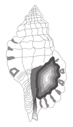 Monoplex keenae