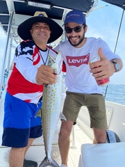 Scomberomorus sierra