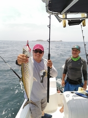 Scomberomorus sierra