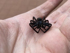 Pireneitega spinivulva