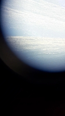 Centrocercus minimus